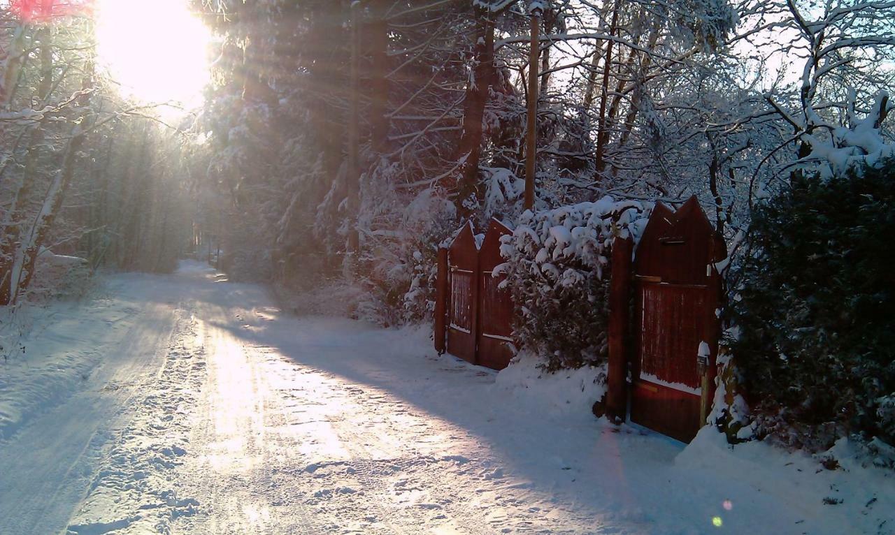 Holzhaus Trollbluemchen Am Wald Und See Neuruppin Luaran gambar