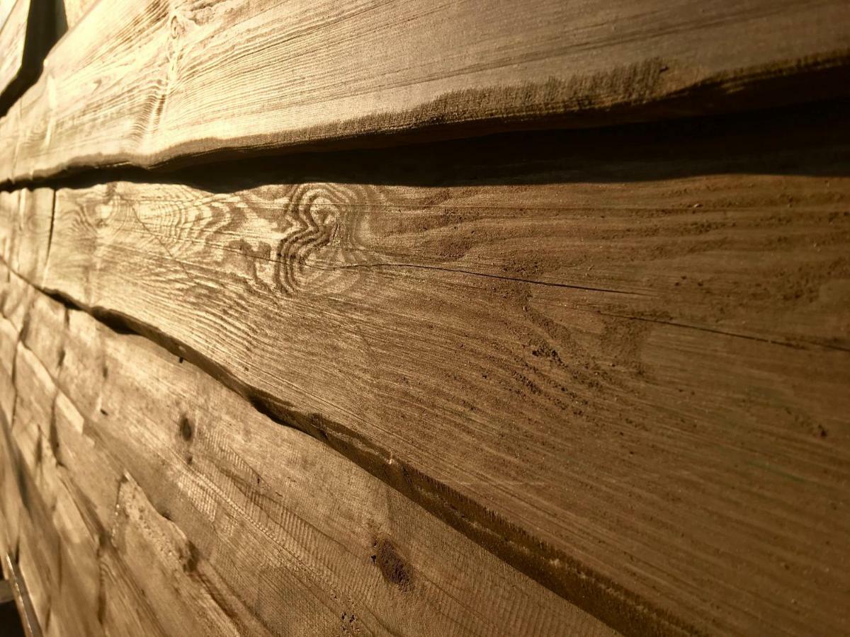 Holzhaus Trollbluemchen Am Wald Und See Neuruppin Luaran gambar
