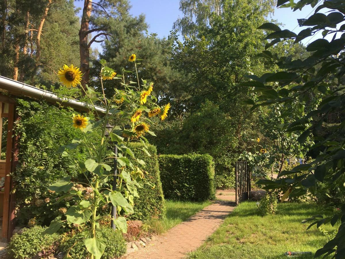 Holzhaus Trollbluemchen Am Wald Und See Neuruppin Luaran gambar